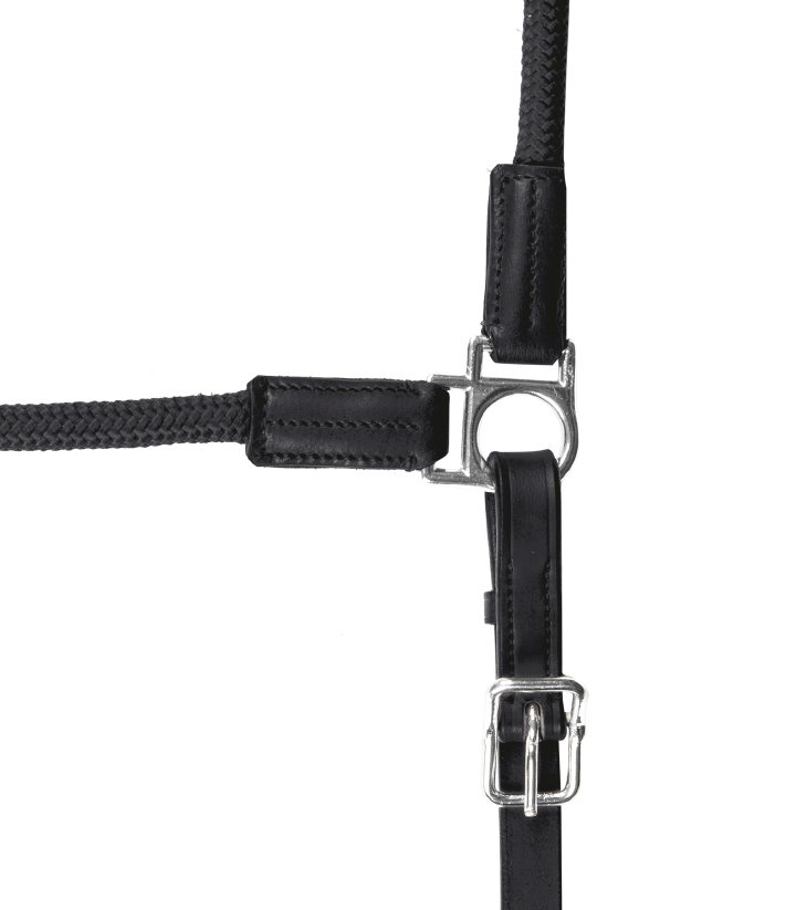 KANTRIE Halfter Ranger